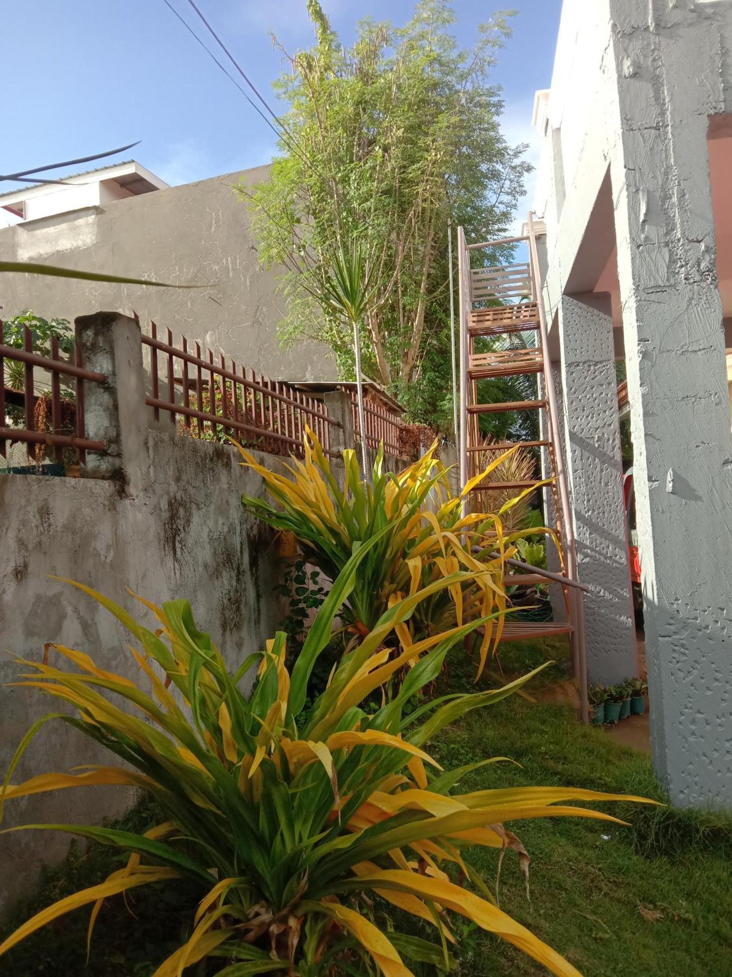 Friz Love Room Rental San Juan  Ngoại thất bức ảnh